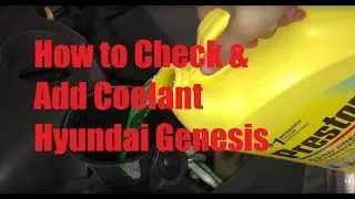 2012-2014 Hyundai Genesis: How to Check & Add Coolant