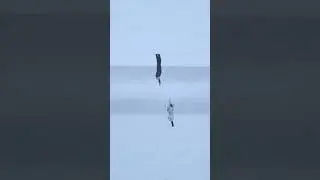 Параллельные миры