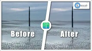 Is On1 NoNoise AI The Best Noise Reduction Software?