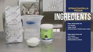 VEGAN STRACCIATELLA (CHOCO-CHIPS)