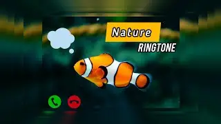 Nature Ringtone | Smartphone Ringtone 2024