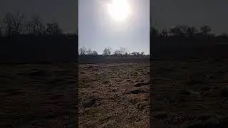Чисто поле