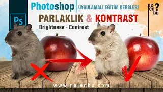 Brightness and Contrast (Brightness - Contrast) - Photoshop Tutorials