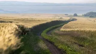 После уборки урожая