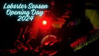 Lobster Season Opening Day 2024