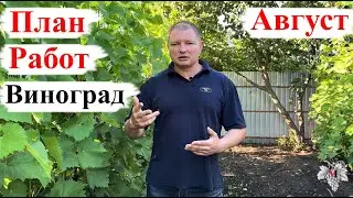 План РАБОТ на ВИНОГРАДНИКЕ в АВГУСТЕ