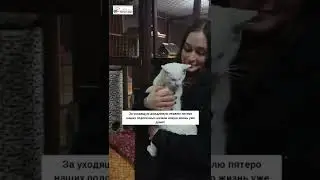 Теперь домашние наши собаки и кошки!