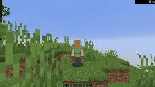 trying to speedrun 1.16.1