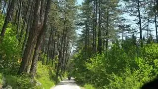 Bob staza Trebevic - Tranzit timelapse video