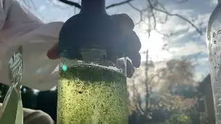 Kabuse Okumidori cold brew tea