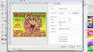 VinylMaster Output - RIP, Print & Cut Tools & Features