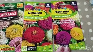 Обзор семян на 2024 г. Часть 2