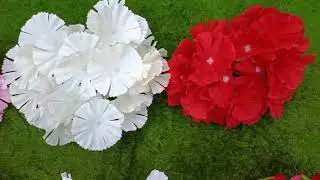 #santkrupa