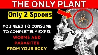 Expels All Worms and Parasites with Only 2 Spoons