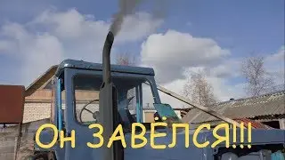 Реанимация МТЗ 50. Дела по дому