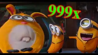 Minions Meme 