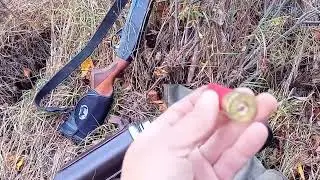 Открытие охоты на утку.
