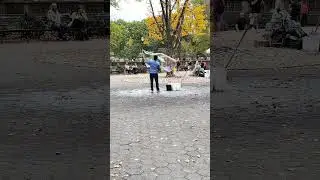 Central Park is the perfect place to experience Fall in New York City!  #vlog #nyc #centralpark