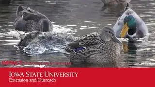 IMPACT: Protecting Natural Resources