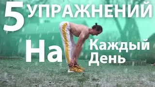 ТОП  5 лучших упражнений на каждый день. Тренировка дома на все тело 10 минут