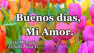 MI AMOR🌹 Buenos Días Amor Mio ❤️ eres mi mayor regalo del cielo 💝 mensajes PARA TI frases de amor