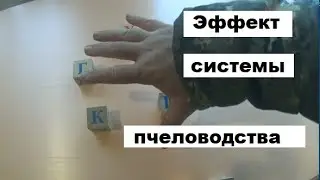 Эффект системы пчеловодства