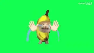 15 banana cat green screen