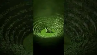 Ring Leader 