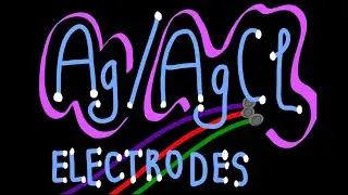 Ag/AgCl Electrode | Bioinstrumentation Design