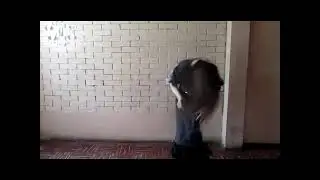 Yemeni zaffa dance