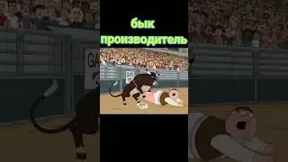бык производитель