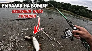 РЫБАЛКА НА ВОБЛЕР! БЕШЕНЫЙ КЛЁВ ГОЛАВЛЯ НА УРУПЕ!