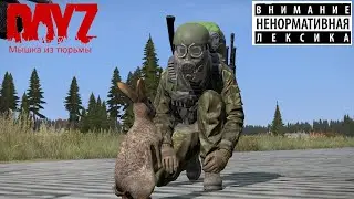 Dayz 1.19 Мышка такого не ожидала 🐭