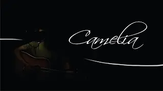 Irwansyah - Camelia || Ariansyah Cover