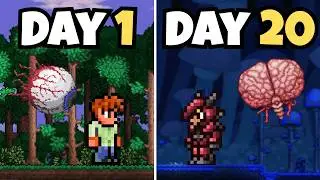 I finally tried Terraria in 2026 (Episode 6 - 20 Days In)