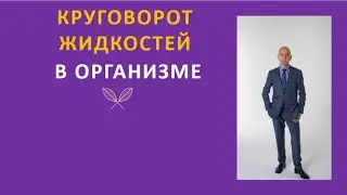 11. Круговорот жидкостей в организме