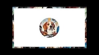 Chien Chienne - Agoria, Sacha Rudy