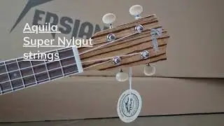 Persian UKSP-Zebra Pineapple Soprano Ukulele - Greenchords