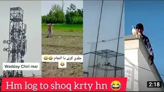 kabootar Pakra || Chiri Maari || Chiri Maar