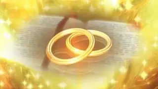 Free wedding background loop RINGS 2017