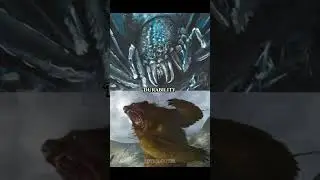 🐻Beorn VS Shelob🕷 | LOTR and Hobbit books