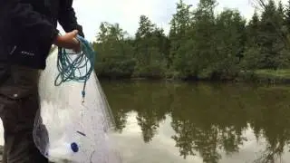So fängt man am schnellsten Köderfische!!