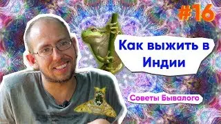 16. параллельНО ИНДИЯ  разговор с Бывалым. Секреты выживания в Индии