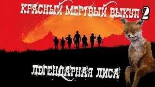 Легендарная лиса Как поймать в red dead redemption 2 PS4