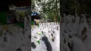 first holy communion.jhunmur parish #2024 #4kstatus #viralvideo #trending