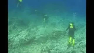 asmesub