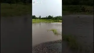 запорожская область потоп.