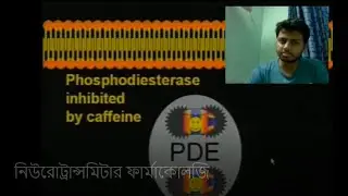 Lecture 5: নিউরোট্রান্সমিটার ফার্মাকোলজি ( Neurotransmitter Pharmacology in Bangla)