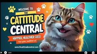 Welcome to The Cattitude Central: Your Guide to a Happier, Healthier Cat!