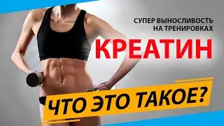Всё о креатине. Как принимать, польза и свойства креатина.